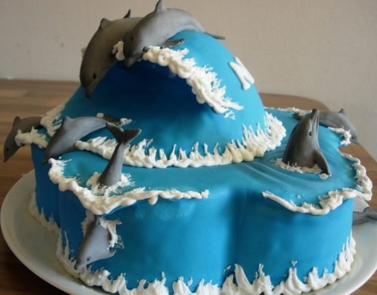 Dolphin Shaped Cake