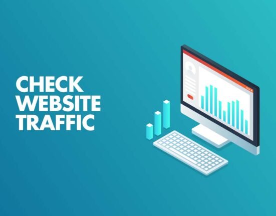 Website Traffic Checker