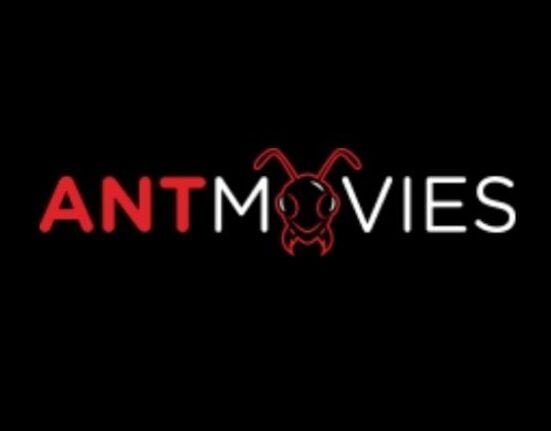 Antmovies