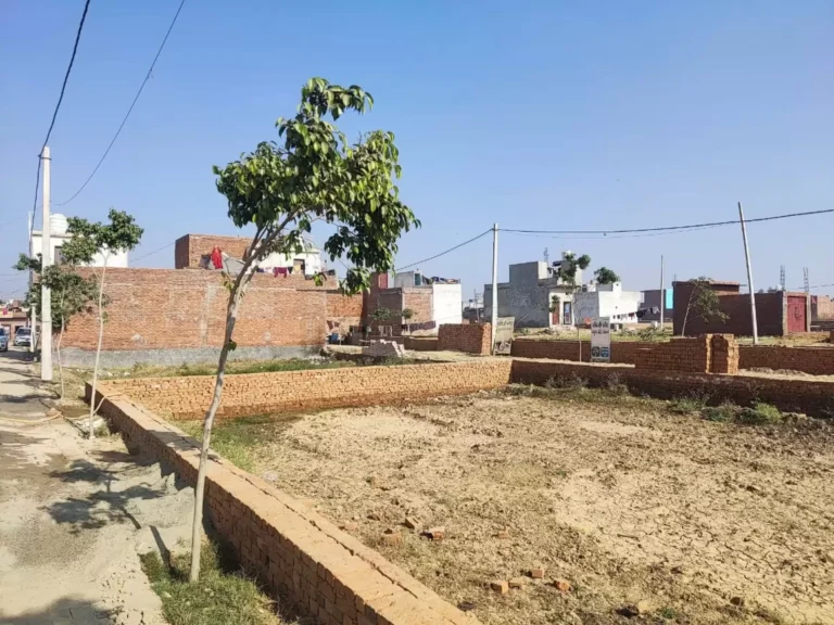 Facilities For Healthcare And Education Close To Ankur Vihar